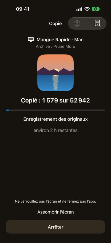 PicFrom sur l’iPhone en train de copier des photos