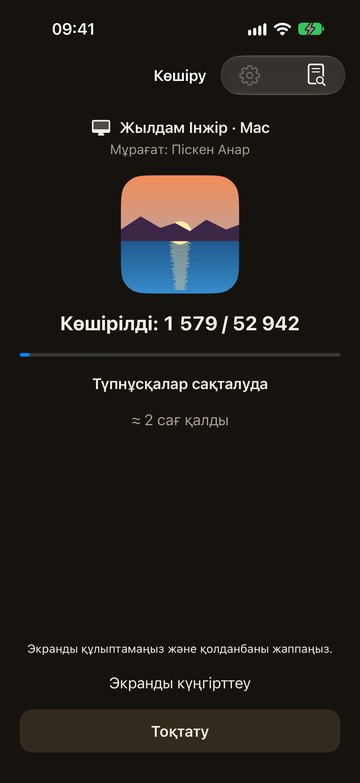 iPhone-дағы PicFrom фотосуреттерді көшіріп жатыр
